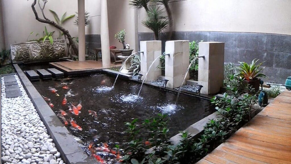 Tampak kolam ikan Koi dengan dilengkapi taman minimalis, foto: cekruang.com