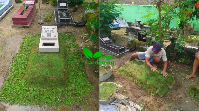 Hasil jadi. Sumber: doc pribadi