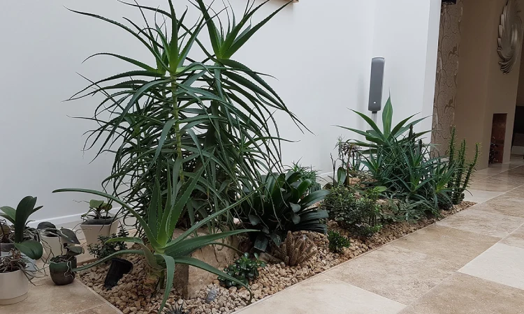 Desain taman kering, Sumber: adamvetere.co.uk