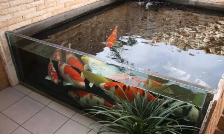 Kolam ikan kaca, Sumber: pinterest.com