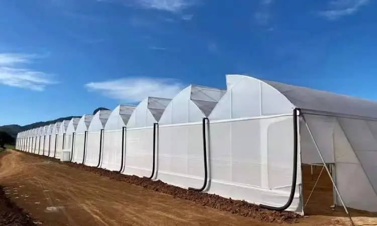 Greenhouse sawtooth, Sumber: ytgreenhouses.com