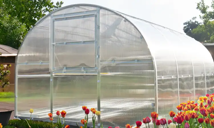 Greenhouse tunnel, Sumber: bloomcabin.com