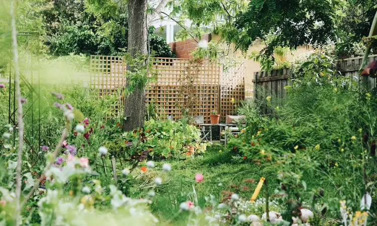 Mengenal wild gardening, Sumber: caseyjoylister.com