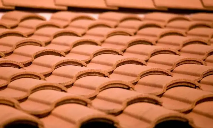 Atap tanah liat, Sumber: edupaint.com