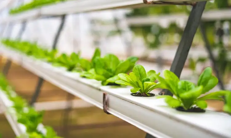 Taman hidroponik bukan sekedar taman hias, Sumber: corradi.eu