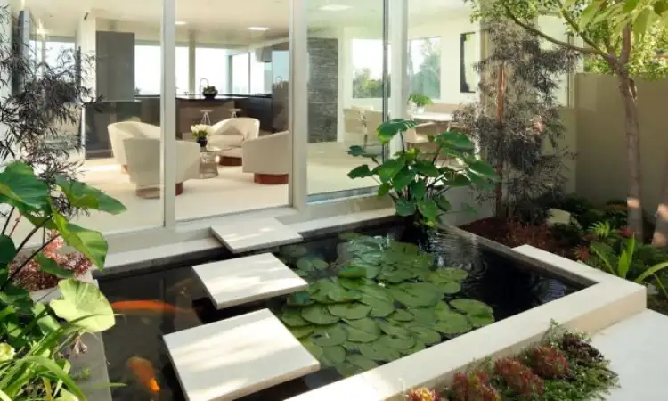 Jasa pembuatan kolam ikan indoor, Sumber: hipwee.com