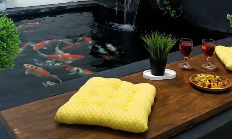 Kolam ikan indoor, Sumber: googleusercontent.com