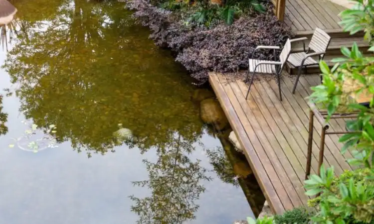 Kolam refleksi di rumah, Sumber: nvswaterscapes.com