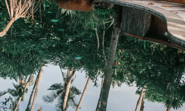 Kolam refleksi, Sumber: pexels.com