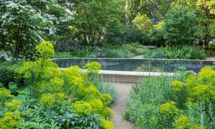 Taman refleksi di rumah, Sumber: amazonaws.com