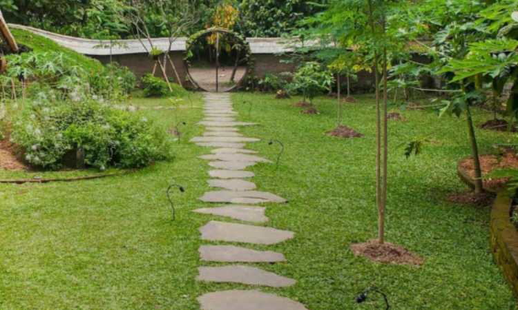 Jalan setapak dengan rumput di sekitarnya, Sumber: arsitag.com