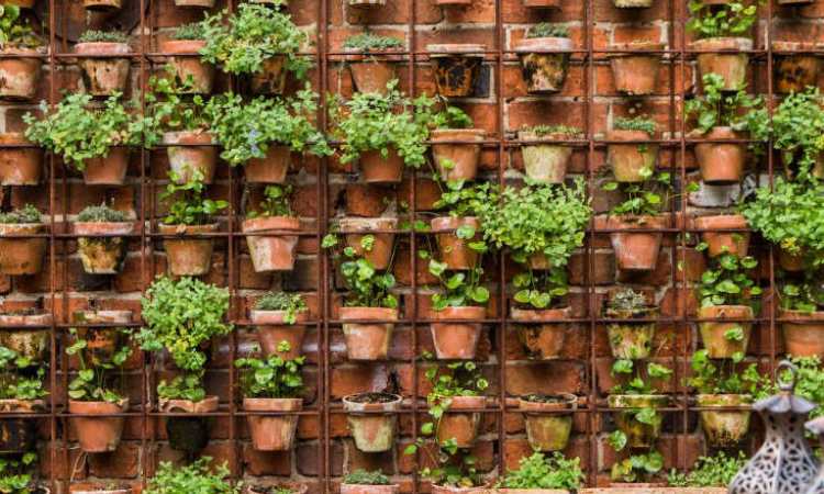 Vertical garden, Sumber: gardenista.com