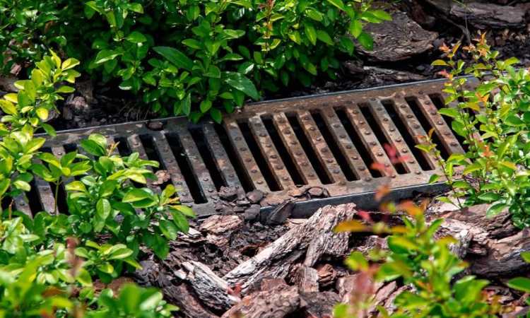 Pentingnya drainase taman rumah, Sumber: airtasker.com