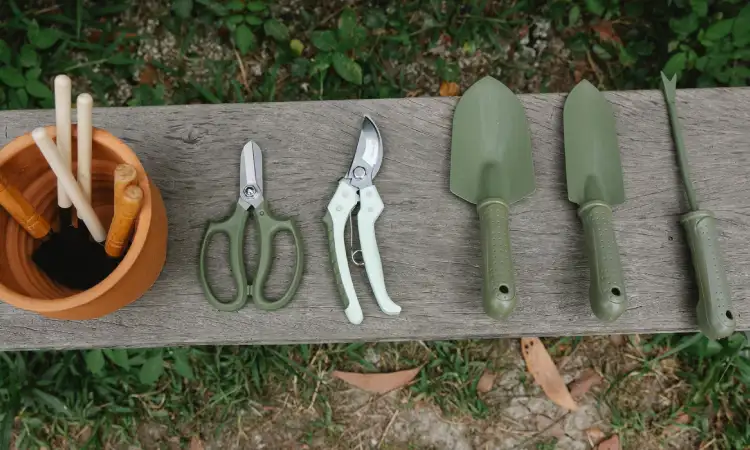 Alat berkebun, Sumber: pexels.com