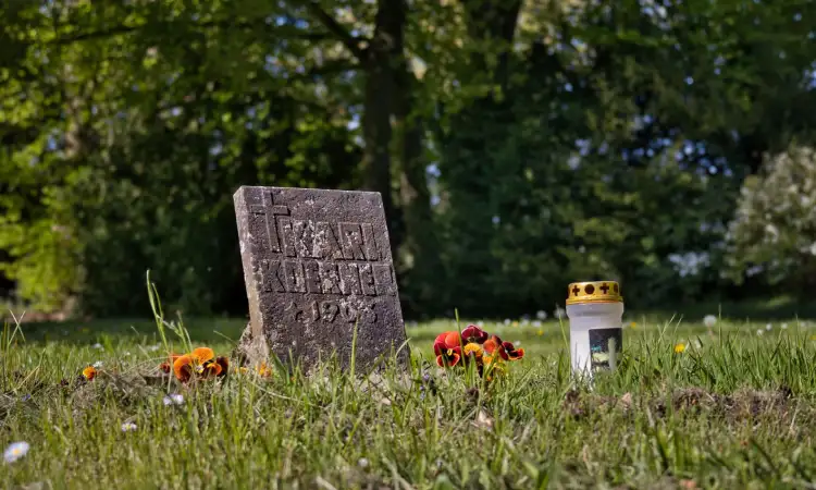 Memilih rumput untuk makam, Sumber: pexels.com